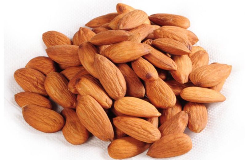 Hard Organic Gurbandi Almond Nuts for Human Consumption