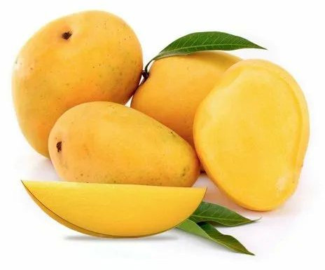 Natural Fresh Mango, Color : Yellow