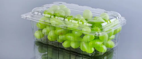 Plastic Rectangle Punnet Boxes For Fruit Packaging