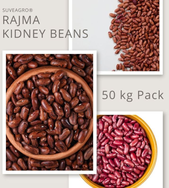 Premium Quality Suveagro Kidney Beans - Nutritious and Versatile Legume For Export From India