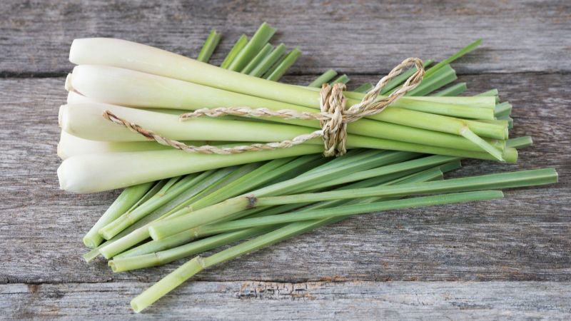 Fresh Lemongrass Leaves