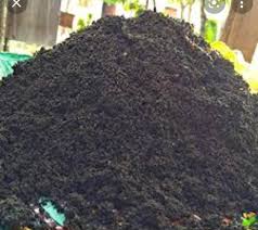 Organic Vermicompost For Agriculture