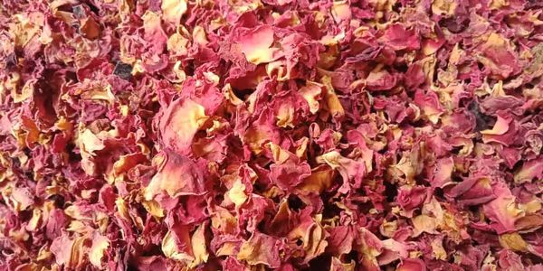 Natural Sun Dried Rose Petals, Packaging Type : Plastic Pack