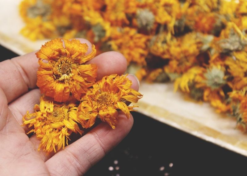 Natural Yellow Marigold Dried Flower for Decoration, Used to Make Tea