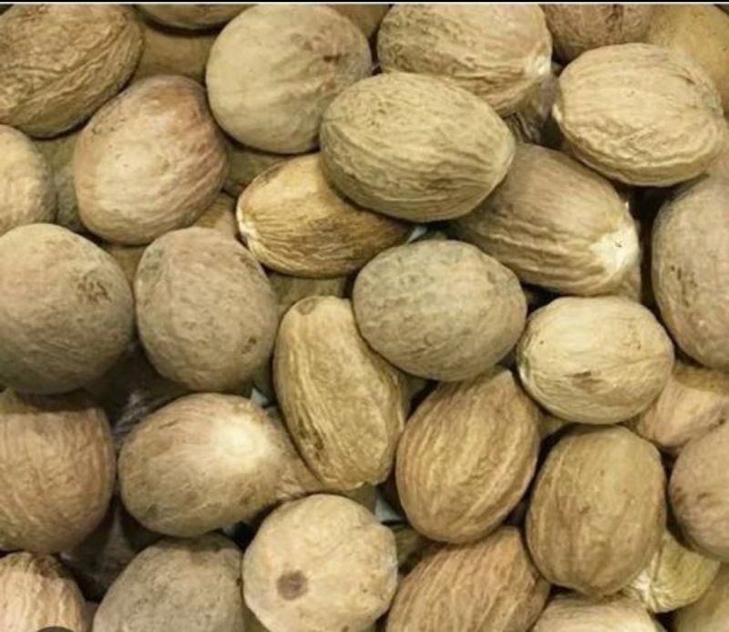 Raw Natural Nutmeg For Food Medicine at Rs 350 in Rajasthan - ID: 7572267