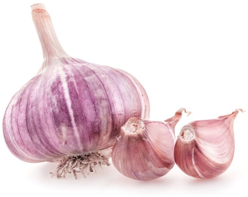 Organic Purple Garlic, Storage Tips : Store In Dry Place