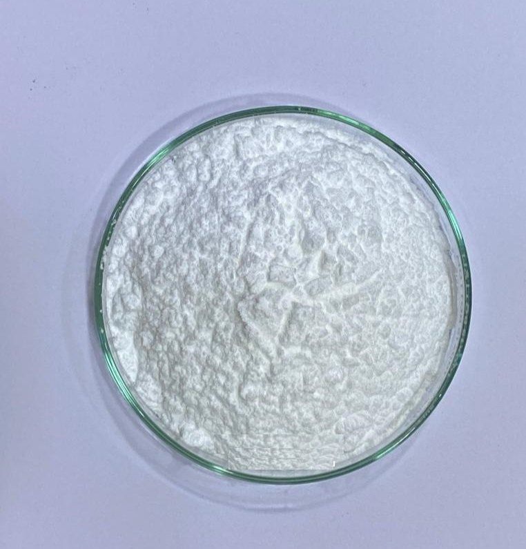 Calcium D Saccharate Powder