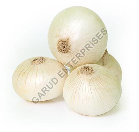 Fresh White Onion