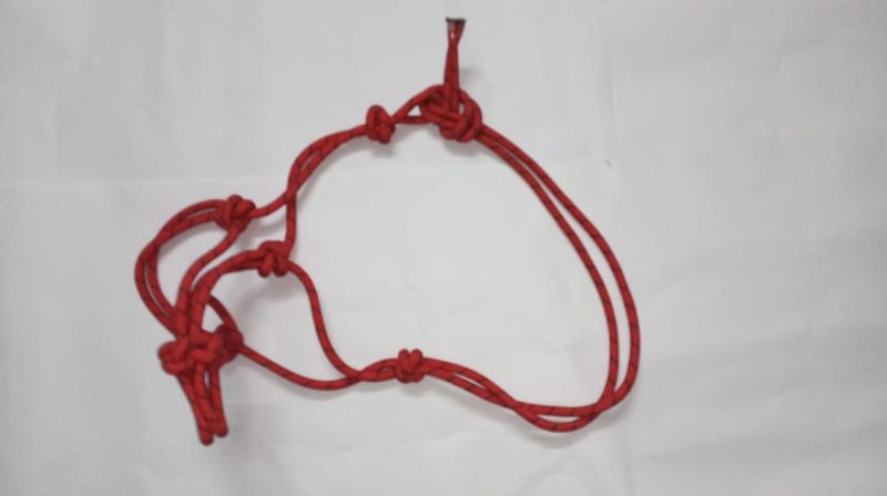 Braided Horse Rope Halters