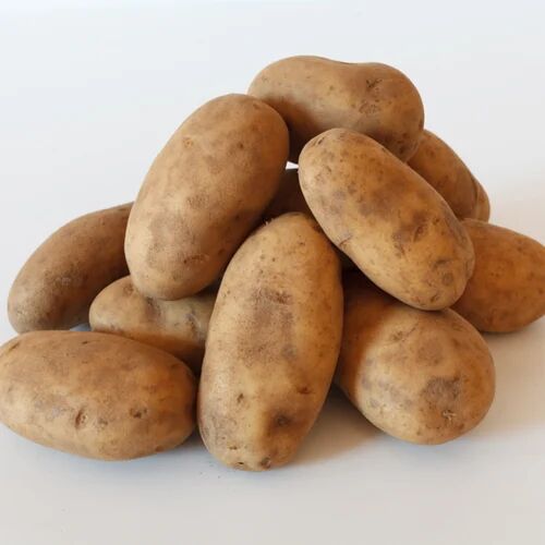 Fresh Brown Potato