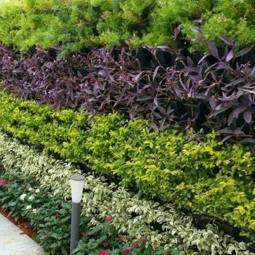 vertical gardening service