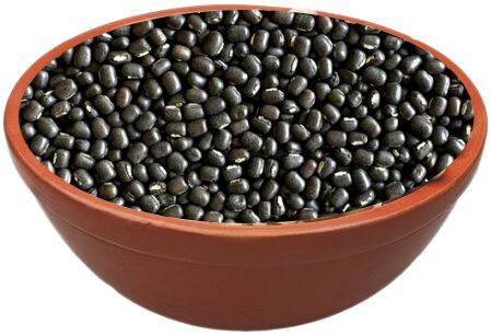 Richbloom Black Gram Seeds