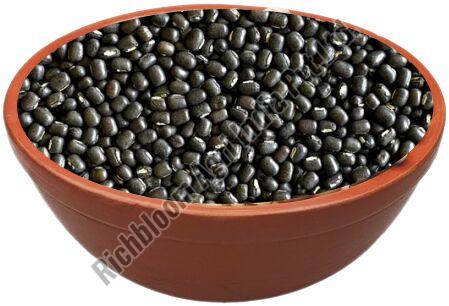 Richbloom Black Gram Seeds, Packaging Size : 25 Kg, 50 Kg at Best Price ...