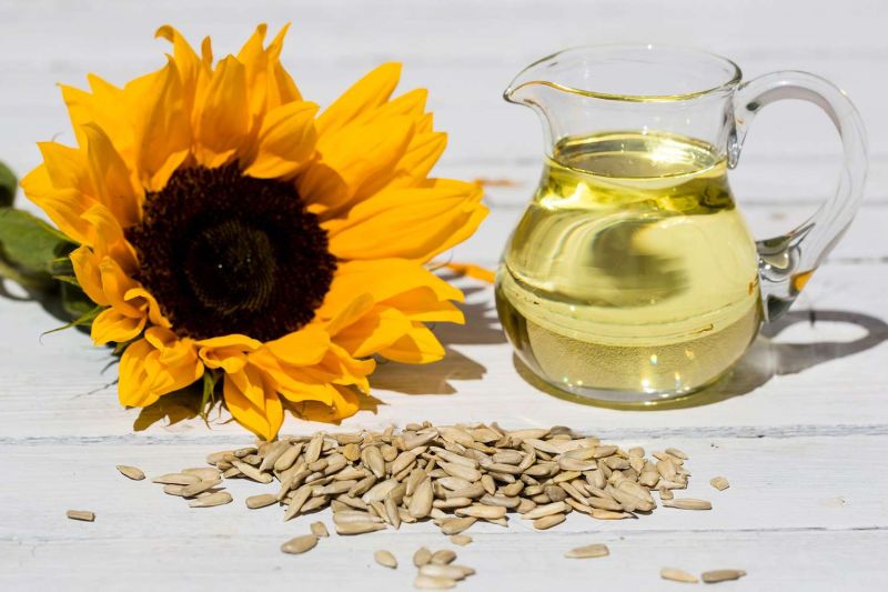 Sunflower Oil for Human Consumption