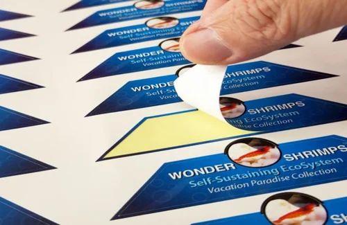 Display Sticker Printing Service