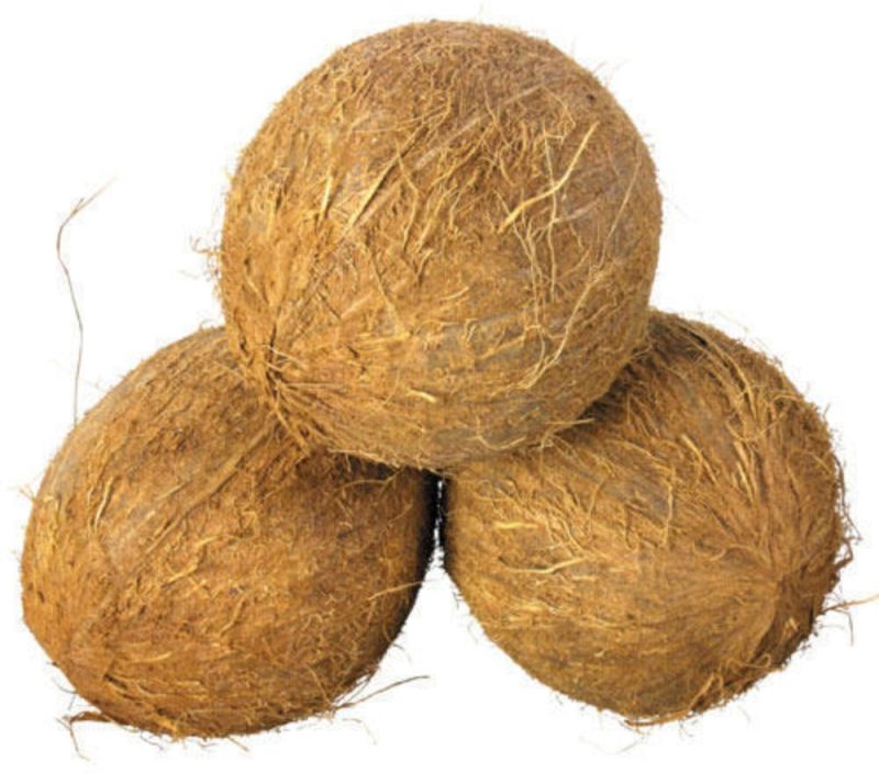 Natural Fully Husked Coconut for Pooja, Cooking