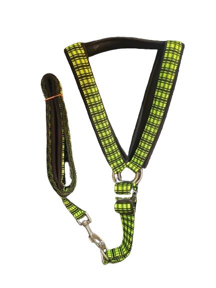 Green Plaid Dog Harness and Leash Set