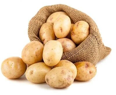 Natural Fresh High Quality Potato for Cooking