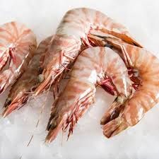 Fresh Flower Prawns
