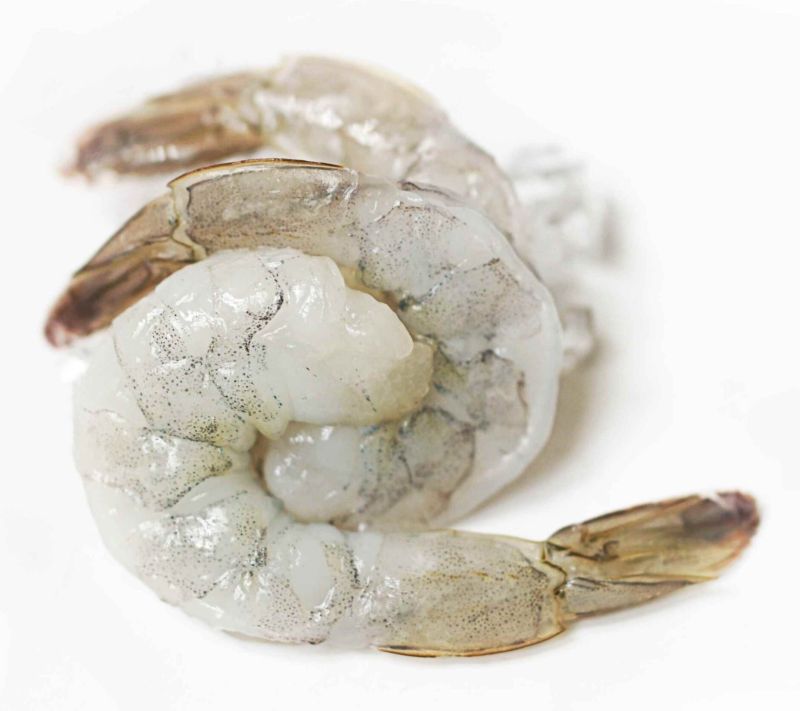 Fresh White Prawns