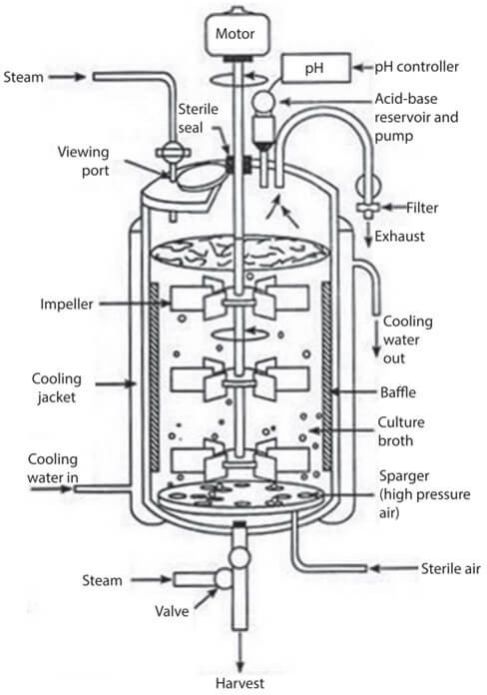 Bioreactor