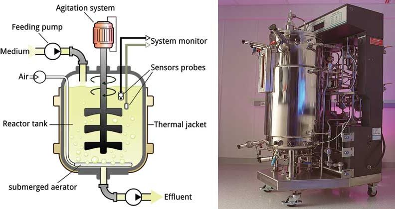 Fermenter Vessel