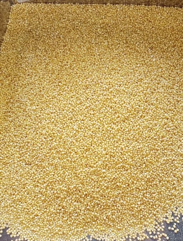 Foxtail Millet Rice - Unpolished