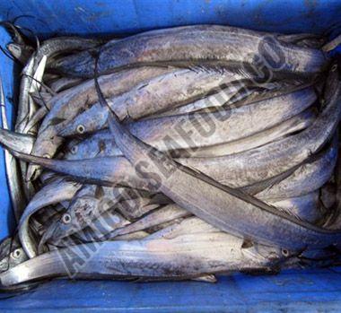 frozen ribbon fish