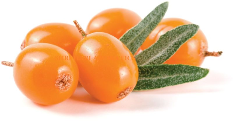 Cold Pressed Sea Buckthorn Oil