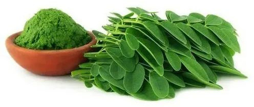 Moringa Powder