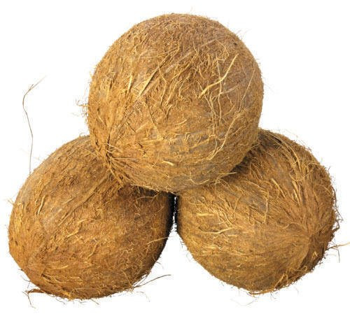 Organic Fully Husked Coconut, Color : Brown