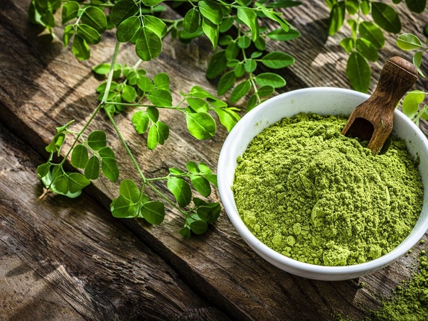 moringa powder