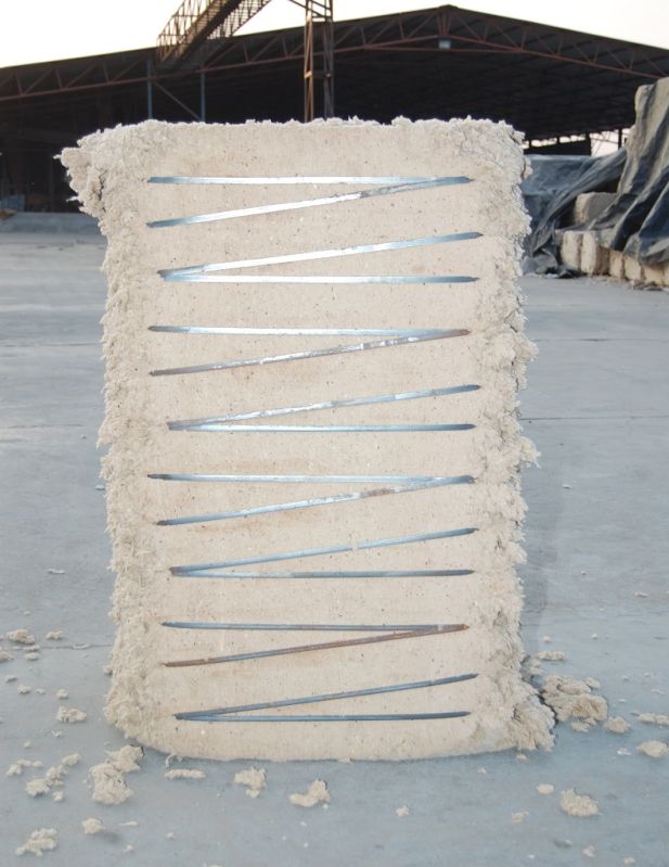 Cotton Seed Hull For Animal Feed