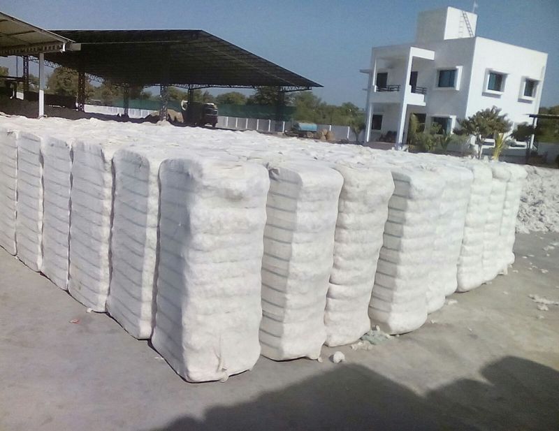 Cotton Bale