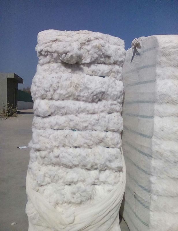 Cotton Bale