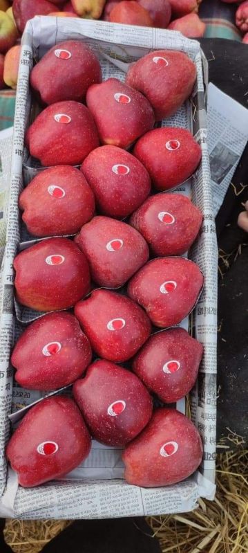 Kashmiri Apple