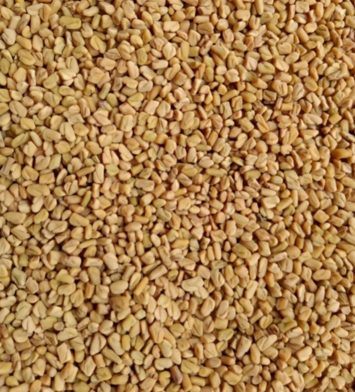 fenugreek seed