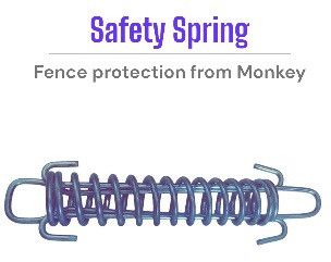 Stainless Steel Safety Spring