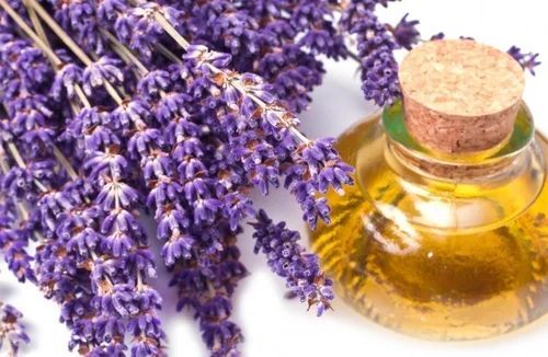 Lavender Essential Oil