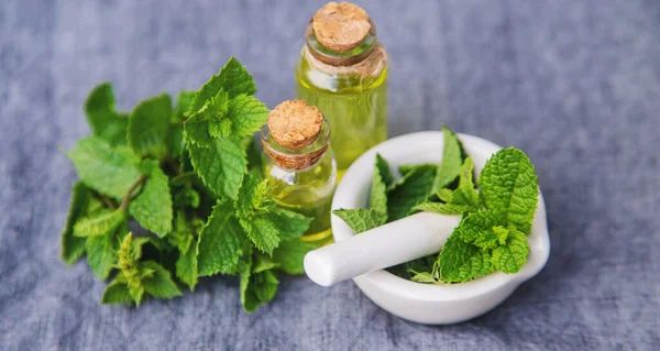 Peppermint Essential Oil