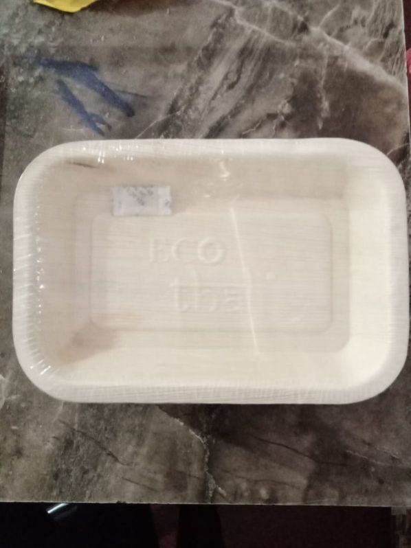 9 X 6  Inch Areca Leaf Rectangle Plate