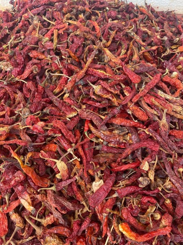 Raw Medium Dry Red Chilli for Cooking