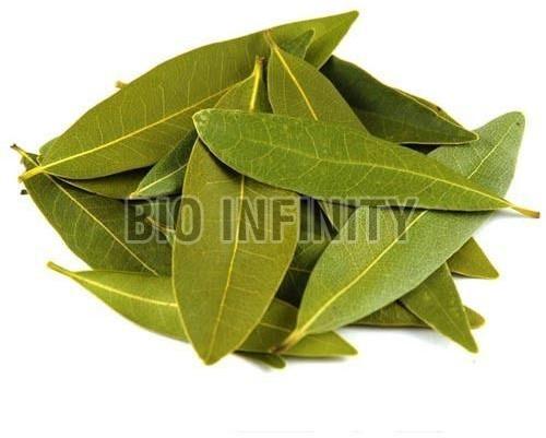 Bay Leaves