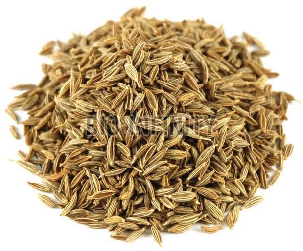 Organic Cumin Seeds