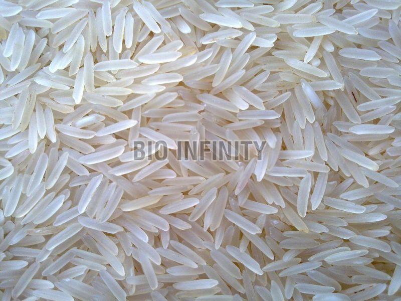 Pusa Basmati Sella Rice