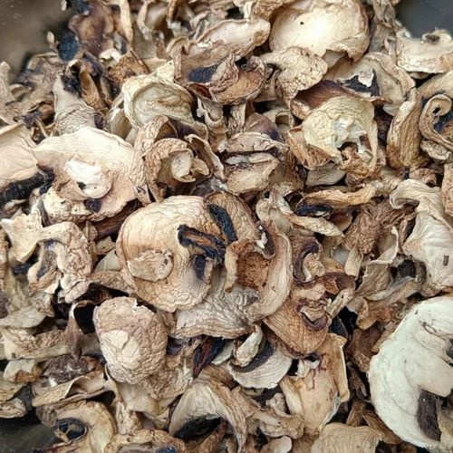 dried mushroom