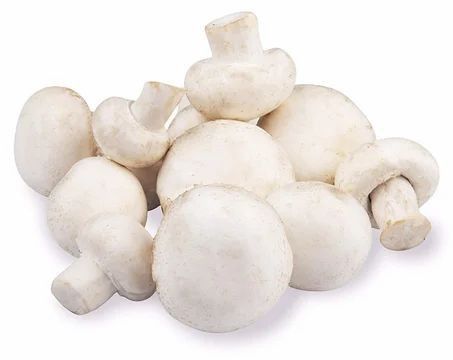 Fresh B Grade White Button Mushroom