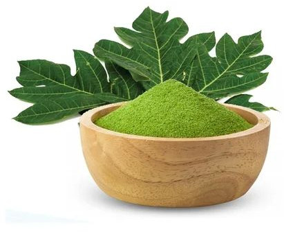 Papaya Leaves Powder