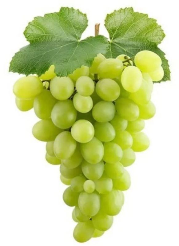 fresh grapes