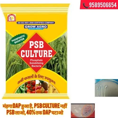 Phosphorus Solubilizing Bacteria Biofertilizer